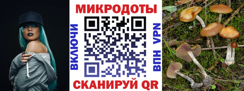 Псилоцибиновые грибы мицелий Красный Холм