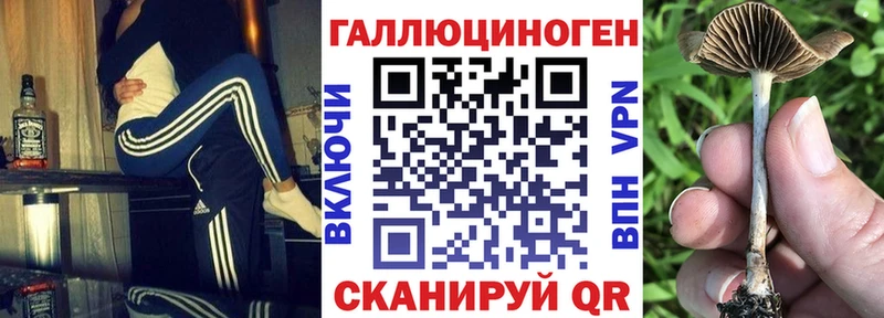 Псилоцибиновые грибы прущие грибы  Красный Холм 